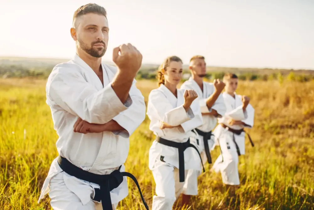 Taekwondo pour adultes à Sartrouville