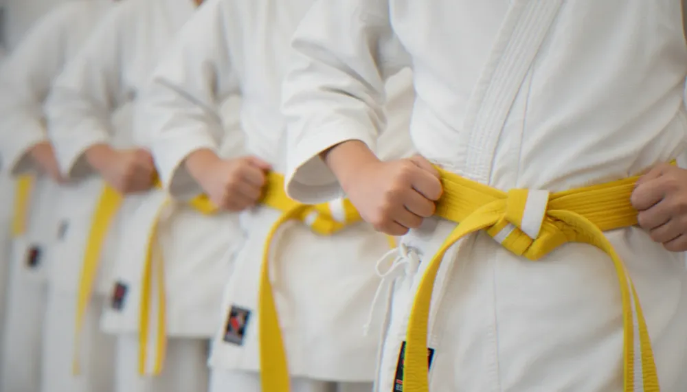 Initiation au taekwondo à Sartrouville